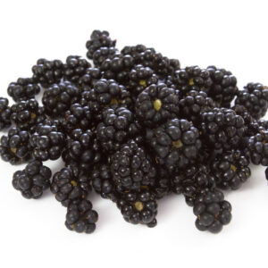 Boysenberry
