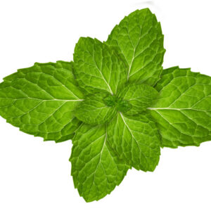 Menthol